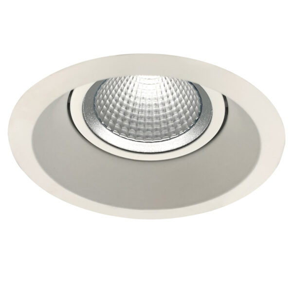 LDL258 icon