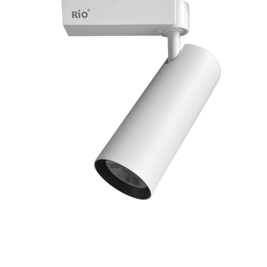 [ECO] LTM612 24W (100-240VAC) - RIO Dynamic
